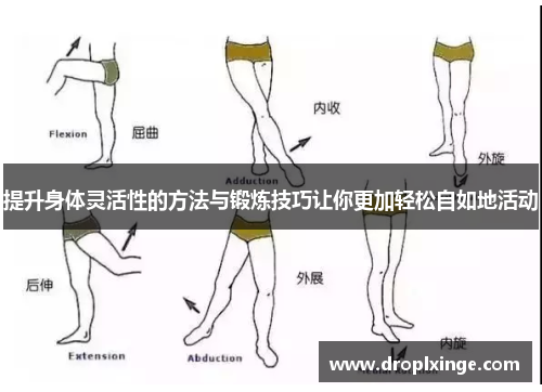 提升身体灵活性的方法与锻炼技巧让你更加轻松自如地活动